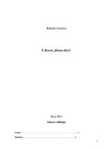Research Papers 'Šarlote Brontē un viņas darbs "Džeina Eira"', 1.