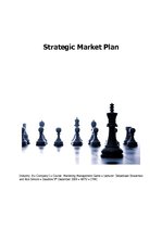 Business Plans 'Strategic Marketing Plan', 1.