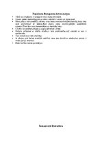 Summaries, Notes 'Napoleons Bonaparts', 19.