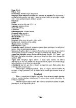 Research Papers 'Tīģeris - dzimis, lai medītu', 4.