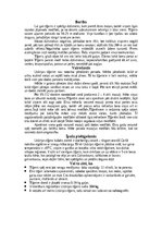 Research Papers 'Tīģeris - dzimis, lai medītu', 7.