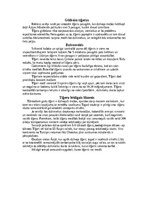 Research Papers 'Tīģeris - dzimis, lai medītu', 8.