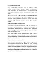 Essays 'Apdrošināšanas tiesību aktu analīze un īstenošana praksē Latvijā un Eiropas Savi', 2.