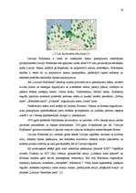 Research Papers 'A/s "Latvijas Krājbanka" norēķinu karšu konkurētspējas paaugstināšanas projekts', 26.
