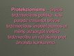 Presentations 'Protekcionisms', 4.