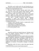Research Papers '“Tīģeri” Latvijas tautsaimniecībā', 13.