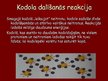 Presentations 'Kodolreakcijas', 4.