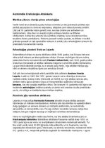 Summaries, Notes 'Asīrieši: vēsture, kultūra, mitoloģija, sabiedrība un kultūras mantojums', 33.
