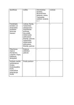 Summaries, Notes 'Publisko tiesību juridisko personu sistēma Latvijā', 3.