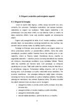 Term Papers 'Origami kā mākslas veida izpēte un tā integrācijas iespējas dažādās mācību jomās', 22.