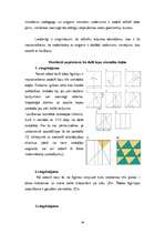 Term Papers 'Origami kā mākslas veida izpēte un tā integrācijas iespējas dažādās mācību jomās', 39.