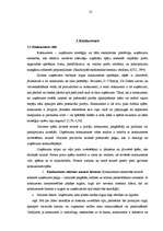 Research Papers 'Uzņēmuma produktu tirgus pozīcijas nostriprināšana un konkurence', 13.