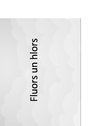Presentations 'Fluors un hlors', 1.
