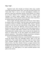 Essays 'Kultūras dienasgrāmata', 2.