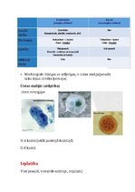 Summaries, Notes 'Tropiskā parazitoloģija', 13.