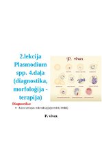 Summaries, Notes 'Tropiskā parazitoloģija', 28.