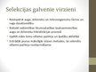 Presentations 'Selekcija Latvijā', 3.