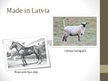 Presentations 'Selekcija Latvijā', 7.