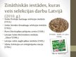 Presentations 'Selekcija Latvijā', 11.