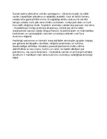 Essays 'Etniskā daudzveidība seno austrumu civilizācijas telpā', 2.
