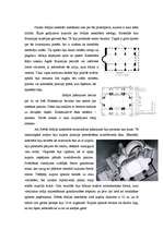 Research Papers 'Sofijas katedrāles arhitektoniskā un konstruktīvā analīze', 3.