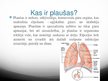 Presentations 'Plaušu ventilācija', 2.