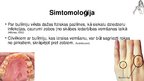 Presentations 'Anorexia nervosa (anoreksija), bulimia nervosa (bulīmija), kompulsīvā pārēšanās', 32.