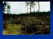 Presentations 'Mērenās joslas meži Latvijā un pasaulē', 22.