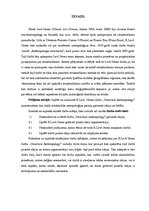 Research Papers 'K.Levī-Strosa darba "Structural Anthropology" analīze', 3.