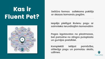 Presentations 'Inovatīva produkta virzīšana Fluent Pet', 2.