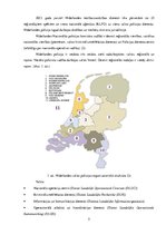 Research Papers 'Valsts policijas atšķirības Latvijā un Nīderlandē', 5.
