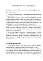Term Papers 'Pašvaldības loma tūrisma attīstībā Jelgavā', 41.