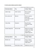 Research Papers 'SIA Kreditēšanas uzņēmuma klientu pašapkalpošanas portāls- Sistēmas darbības kon', 17.