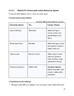 Research Papers 'SIA Kreditēšanas uzņēmuma klientu pašapkalpošanas portāls- Sistēmas darbības kon', 47.