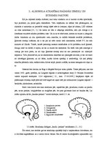 Research Papers 'Alkoholisms - sociālā problēma Latgalē', 11.