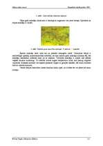 Research Papers 'Itālijas klimats un dabas resursi', 3.