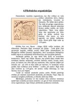 Research Papers 'Livonijas pilsēta - Rīga', 6.