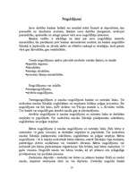 Research Papers 'Komercbanku darbība un finanšu pakalpojumi', 13.