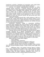 Research Papers 'Komercbanku darbība un finanšu pakalpojumi', 15.