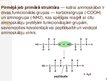 Presentations 'Makromolekulas. Lipīdi. Polisaharīdi. Proteīni. Nukleīnskābes', 7.