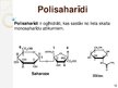 Presentations 'Makromolekulas. Lipīdi. Polisaharīdi. Proteīni. Nukleīnskābes', 12.