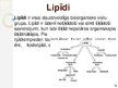 Presentations 'Makromolekulas. Lipīdi. Polisaharīdi. Proteīni. Nukleīnskābes', 14.