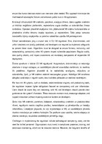 Essays 'EU regulation for AI', 4.