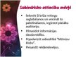 Presentations 'Sabiedrisko attiecību plāns', 7.