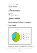 Research Papers 'Analyse Eines Businessplans auf Wort, Satz und Textbene', 10.