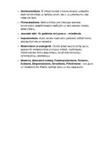 Summaries, Notes 'Mākslas periodu hronoloģija', 3.