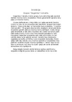 Essays 'Grupas ''Dagamba'' koncerts', 1.