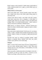 Essays 'Māksla kā cilvēka eksistences atspulgs: emocionālā un kultūras dimensija', 2.