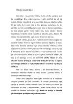Research Papers 'Zigmunda Freida zinātniskie darbi un pētījumi', 3.