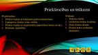 Presentations 'Adatu matricu printeris', 6.